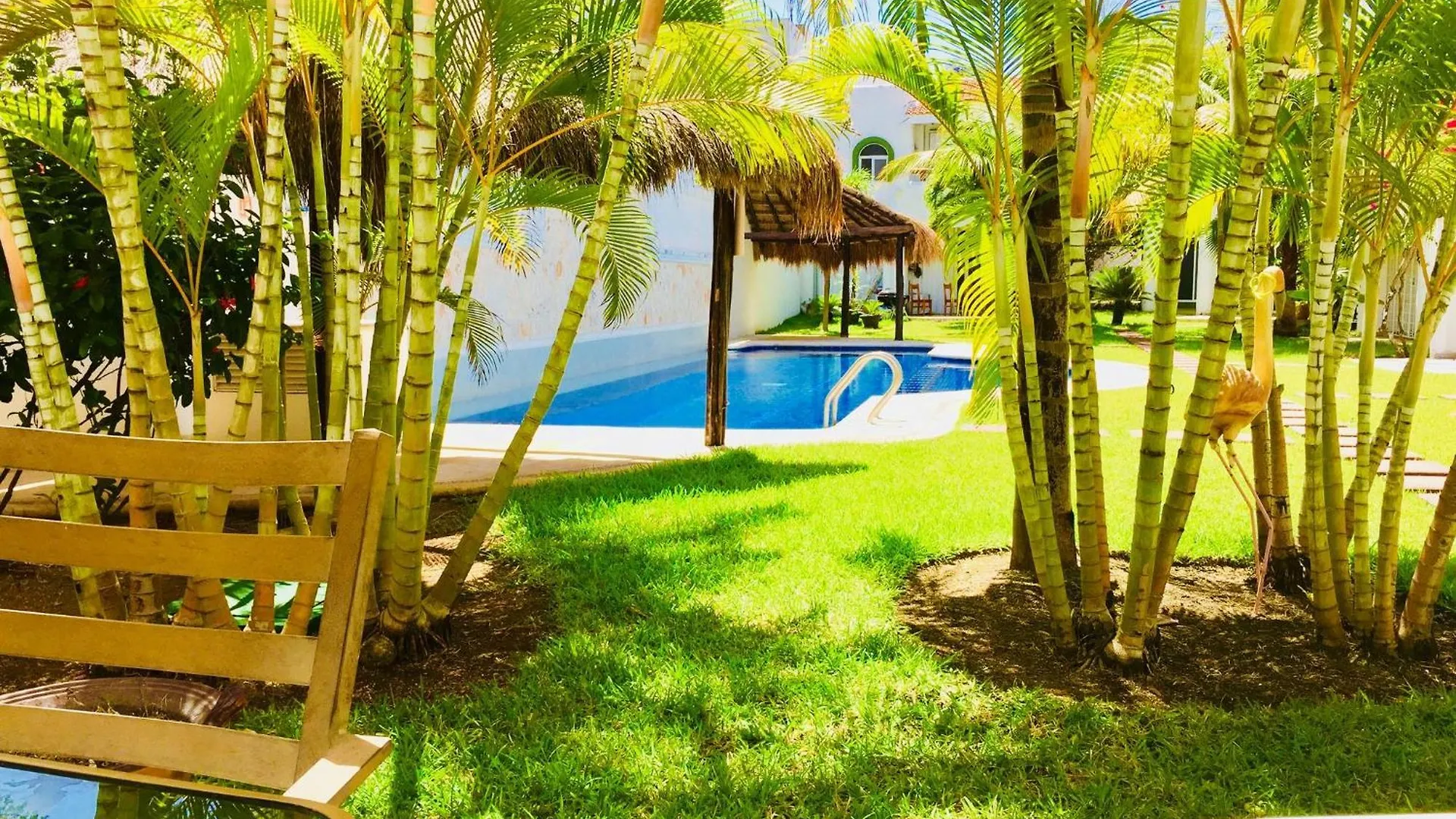 Pensionat Deluxe Jacuzzi Balcony Room With Swimming Pool Air Conditioning And Parking Playa del Carmen