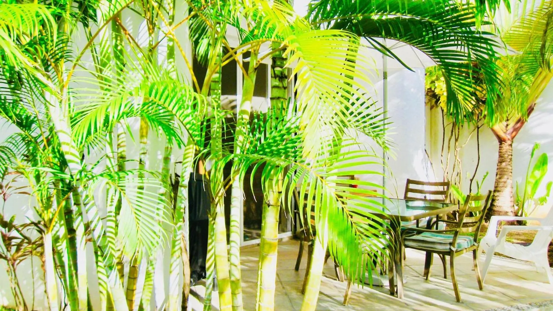 Deluxe Jacuzzi Balcony Room With Swimming Pool Air Conditioning And Parking Playa del Carmen Gasthuis